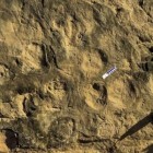 Pegadas de dinossauro são encontradas no interior de São Paulo; veja