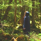 O misterioso bosque dos suicídios no Japão