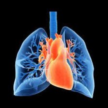 Sete sintomas que indicam que os seus pulmões estão falhando