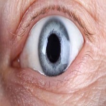 Nossos olhos poderão um dia revelar o tempo de vida e doenças futuras, diz estudo