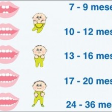 Primeiros dentes do bebê: quando nascem e quantos são