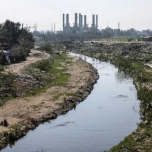 Limpeza da poluição visa criar a primeira reserva natural de Gaza