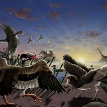 Novos fósseis de pássaros são descobertos perto da Grande Muralha da China