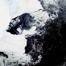 Uma plataforma de gelo, do tamanho da cidade de Nova York, colapsa na Antártida