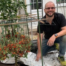 Jardineiro cultiva 1.269 tomates em uma única planta, estabelece recorde mundial