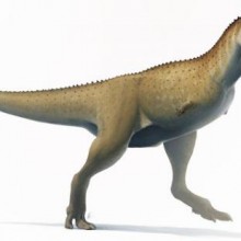 Descoberta nova espécie de dinossauro Abelisaurus sem braços na Argentina