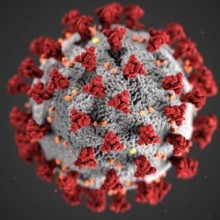 Vírus escondidos que depois de décadas ainda podem te fazer mal