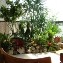 Como decorar sua casa com plantas naturais ou artificiais
