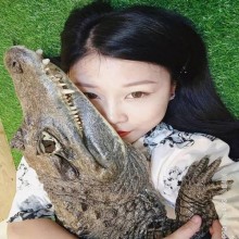 Garota em Taiwan tem 6 crocodilos em casa como animal de estimação