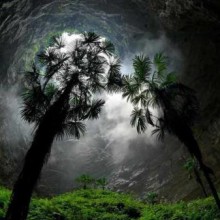 Encontrada caverna na China com floresta antiga e árvores com 40 metros