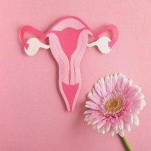 Progesterona alta ou baixa: como influencia na fertilidade?