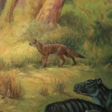 Fóssil raro de antiga espécie de cão descoberto por paleontólogos