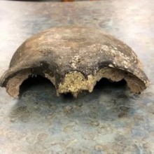Crânio humano de quase 8.000 anos encontrado por canoístas no rio Minnesota