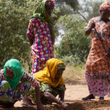 Países africanos têm dificuldades para erguer ‘Muralha Verde’ e conter desertificação