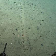 Linha de buracos no fundo do oceano intriga comunidade científica