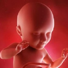 7 coisas que o bebê sente enquanto está dentro do útero