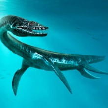 Fósseis de plesiossauros encontrados no Saara