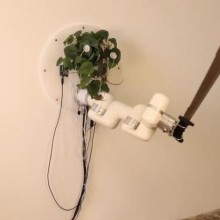 Braço robótico segura facão controlado por plantas; confira o vídeo