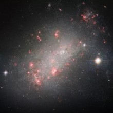 Maior galáxia já observada é descoberta em aglomerado gigantesco