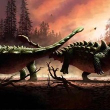 Fóssil raro revela dinossauros lutando entre si