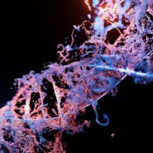Nova ferramenta baseada em CRISPR insere grandes sequências de DNA em locais desejados