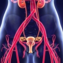 O que são cânceres ginecológicos e como prevenir?