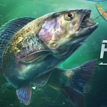 Pescamos em nosso PC no realista Ultimate Fishing Simulator 2!