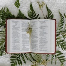 Entenda a história e a importância dos salmos