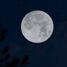 “Lua de Morango” chega neste fim de semana; entenda o nome