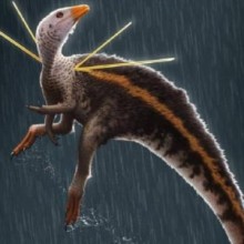 Fóssil de dinossauro levado ilegalmente do Brasil volta ao Ceará