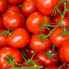 Descubra o poder do tomate para uma vida mais saudável e vibrante
