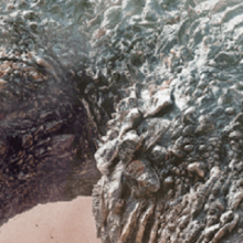 Godzilla Minus One: O respiro necessário do rei dos monstros