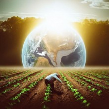 A agricultura sustentável cultivando um futuro promissor para o planeta