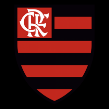 Desvendando o Rubro-Negro: 10 Curiosidades surpreendentes sobre o Flamengo