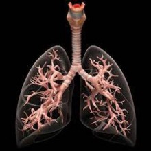 Nova vacina contra câncer de pulmão, apresenta resultados promissores