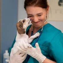 A importância fundamental das visitas constantes ao veterinário para a saúde do seu pet