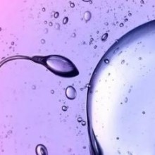 Cientistas detectaram espermatozoides desafiando uma das principais leis da física