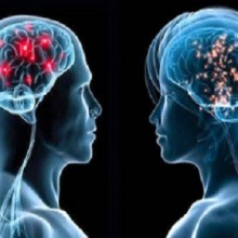 Qual cérebro é mais ativo - dos homens ou das mulheres?