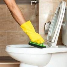 Junte louro ao papel higiênico para se livrar de problema comum no sanitário