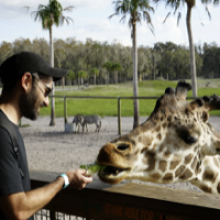 Achamos um passeio com safari, girafas e airboats pertinho de Orlando!