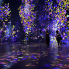 Superblue: o espetacular novo museu digital de Miami