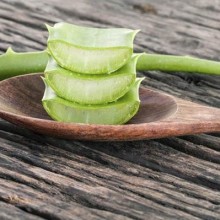 Aloe vera (babosa): um milagre para sua saúde e sua pele