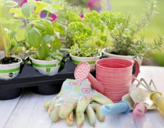 Como ter uma saúde melhor com jardinagem