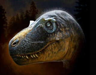 Espécie recém-descoberta de tiranossauro