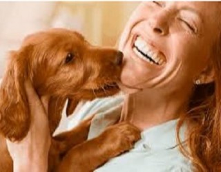 Cães são capazes de identificar emoções humanas!